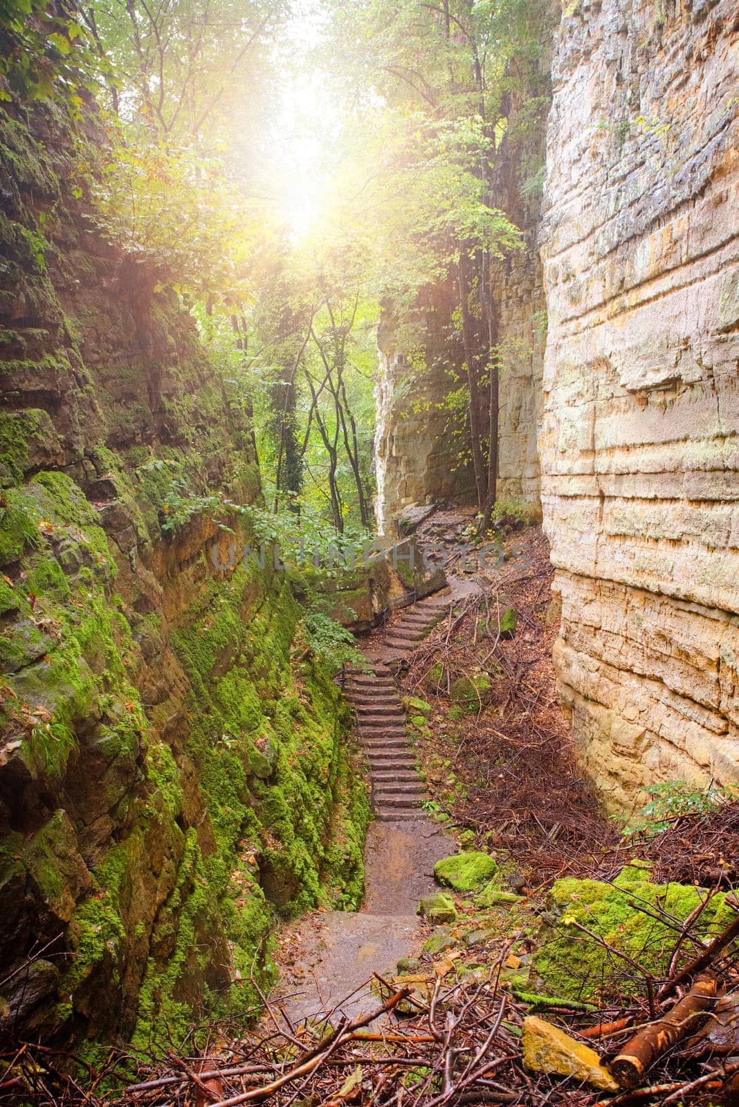 Gorges du loup or Wolfsschlucht on the Mullerthal trail near Echternach in Luxembourg, canyon with sandstone rock formation