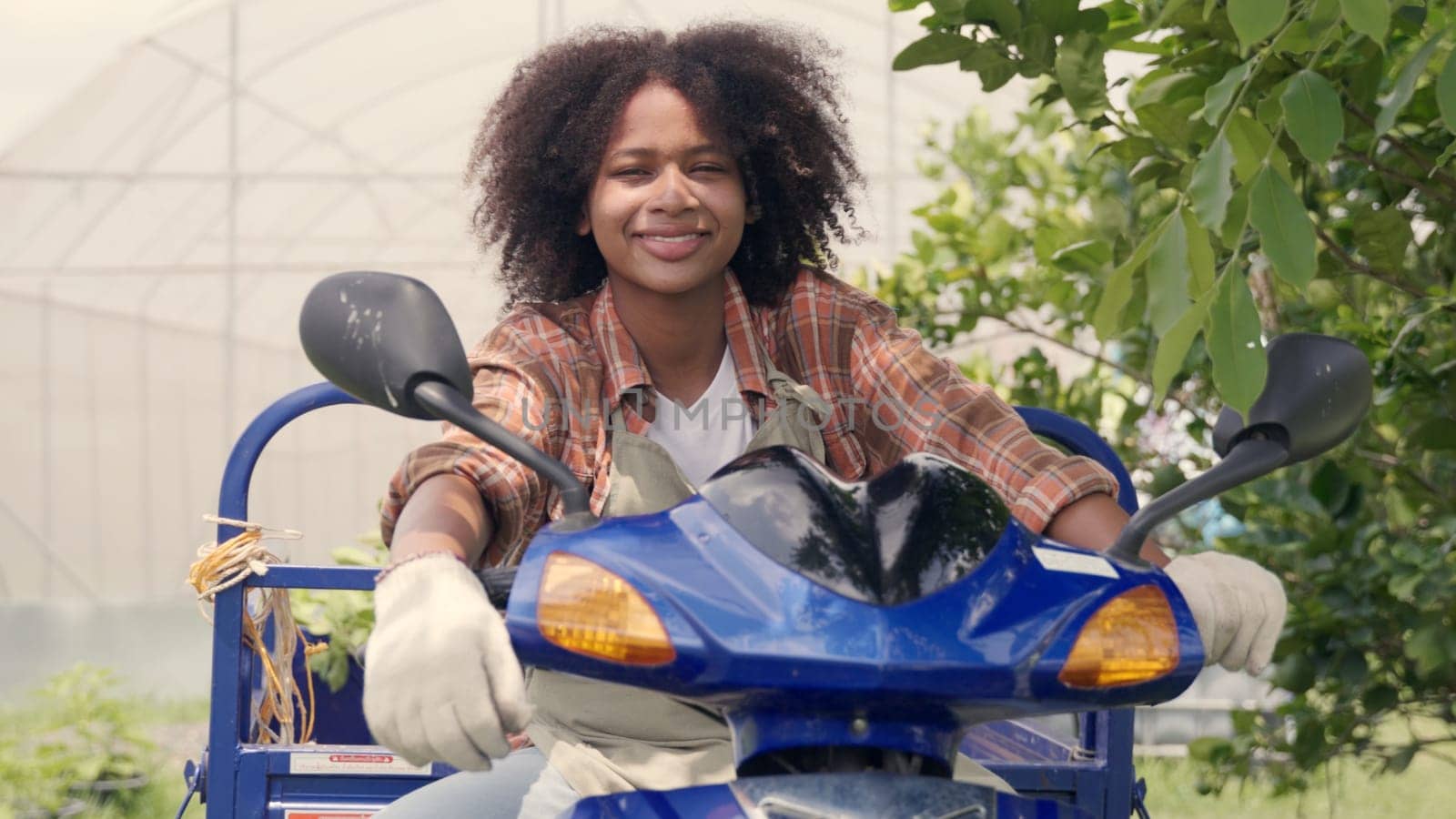 Happy children girl farmer sitting on tricycle in hydroponics farm, Biotechnology kid with Skylab motorcycle at vegetable farm, market transportation