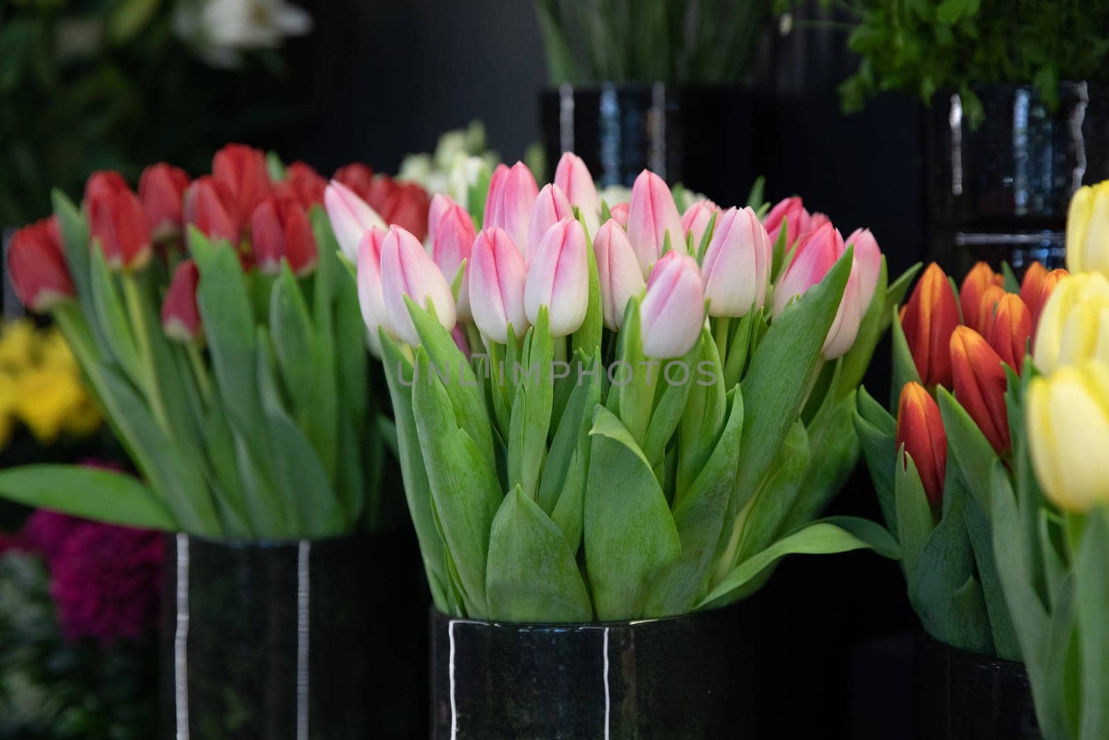 Beautiful fresh cut pink tulips at the flower garden shop in spring. Horizontal. Selective focus. Close-up.