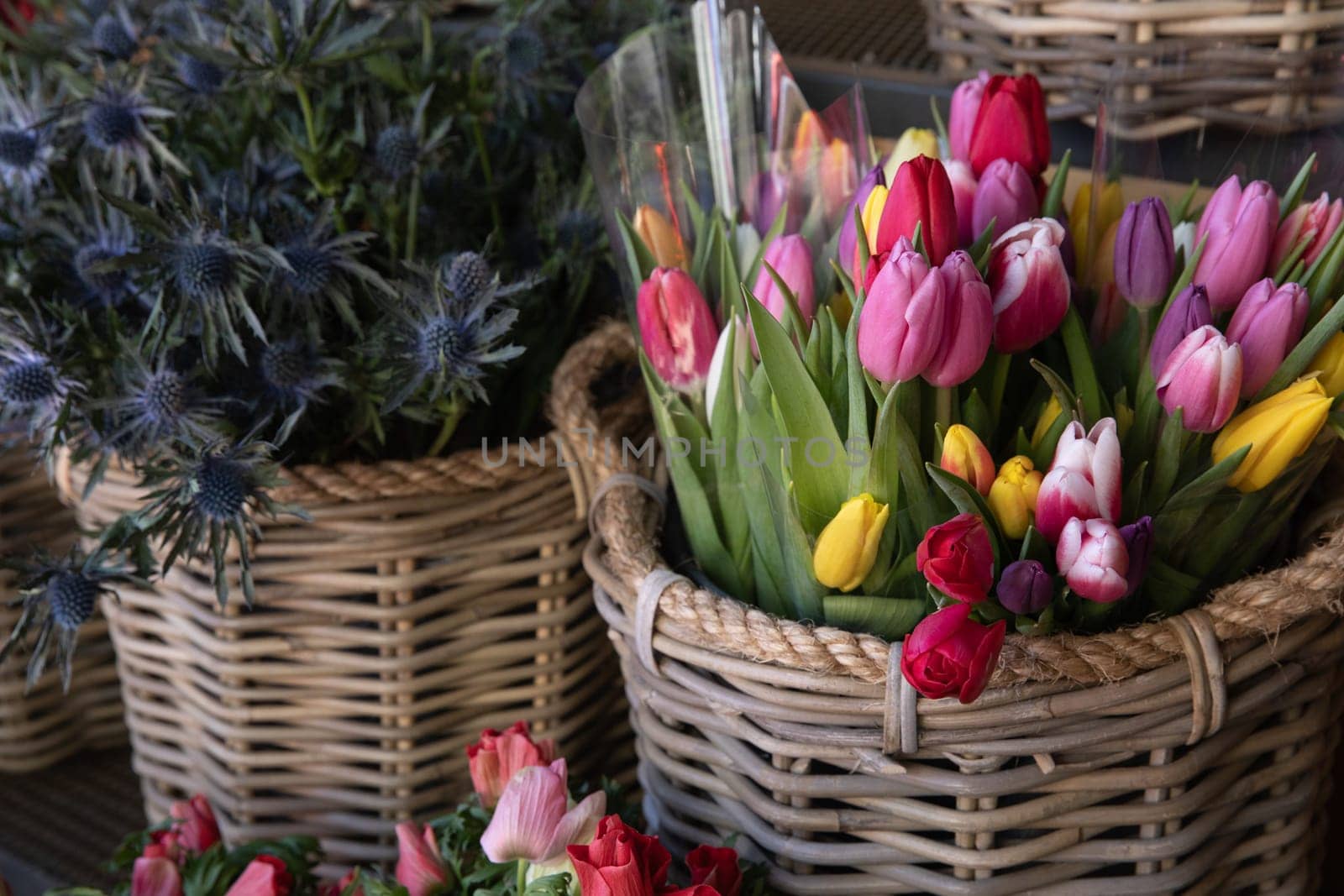 Basket full of colorful tulip bouquets at the flower garden shop in spring. Horizontal.