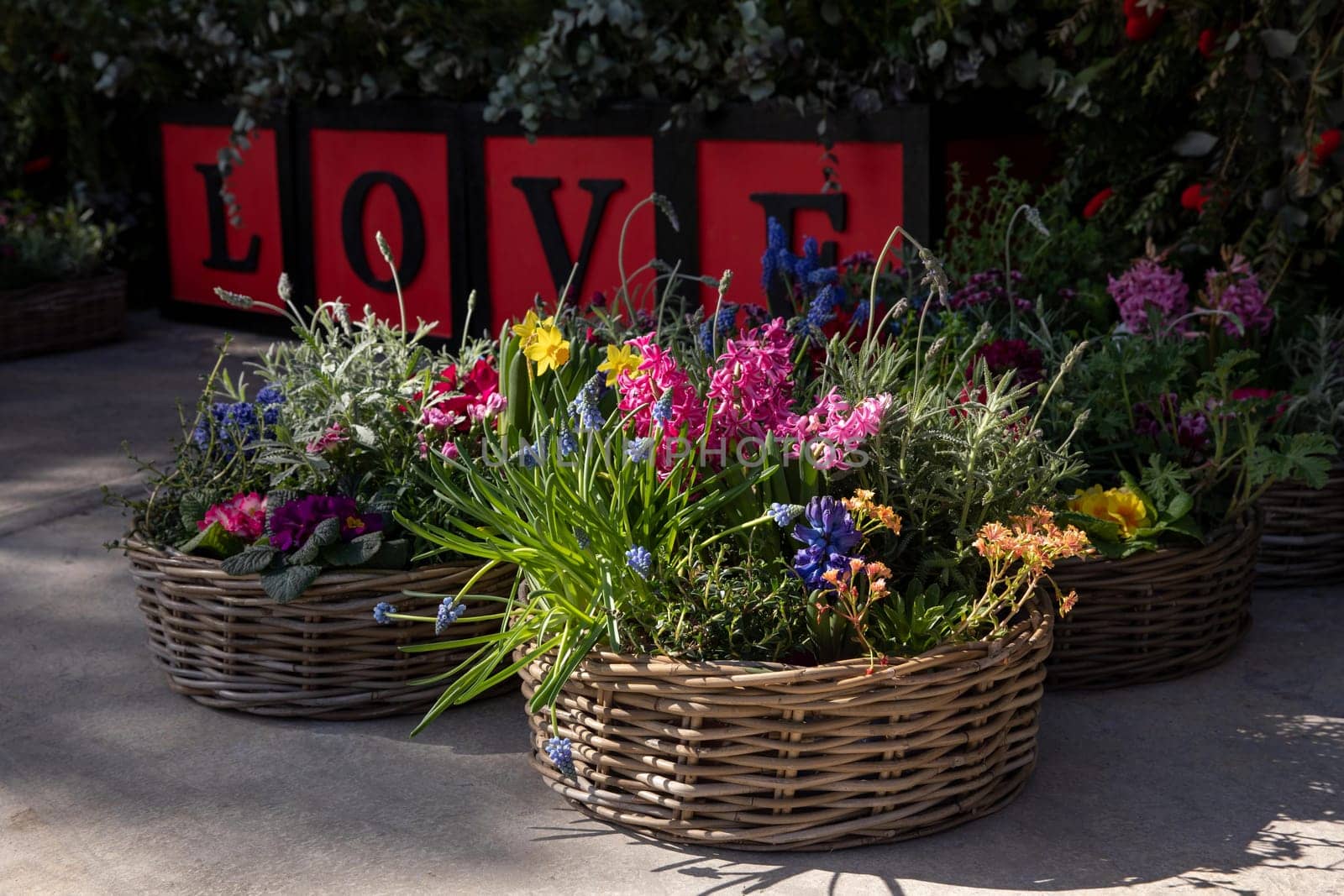 Happy spring mood baskets of flowering plants outside the flower shop - love gardening concept. Horizontal. Daylight.