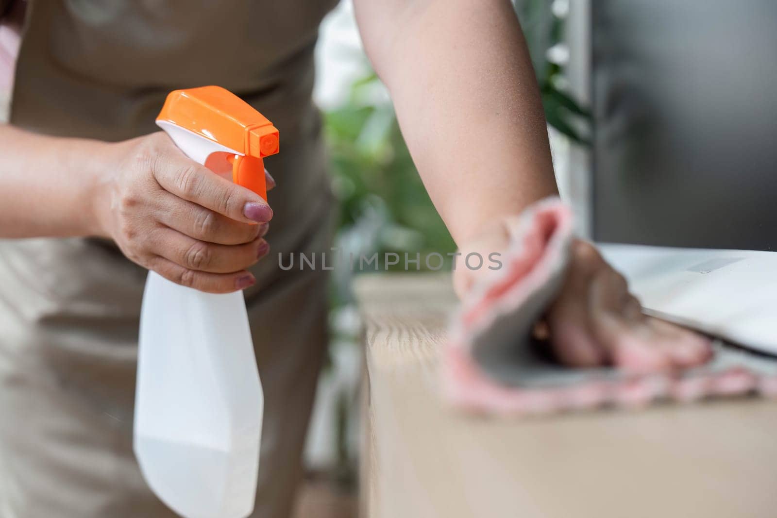 A close-up of a person diligently cleaning a surface with a spray bottle and cloth, emphasizing the importance of cleanliness in home care.