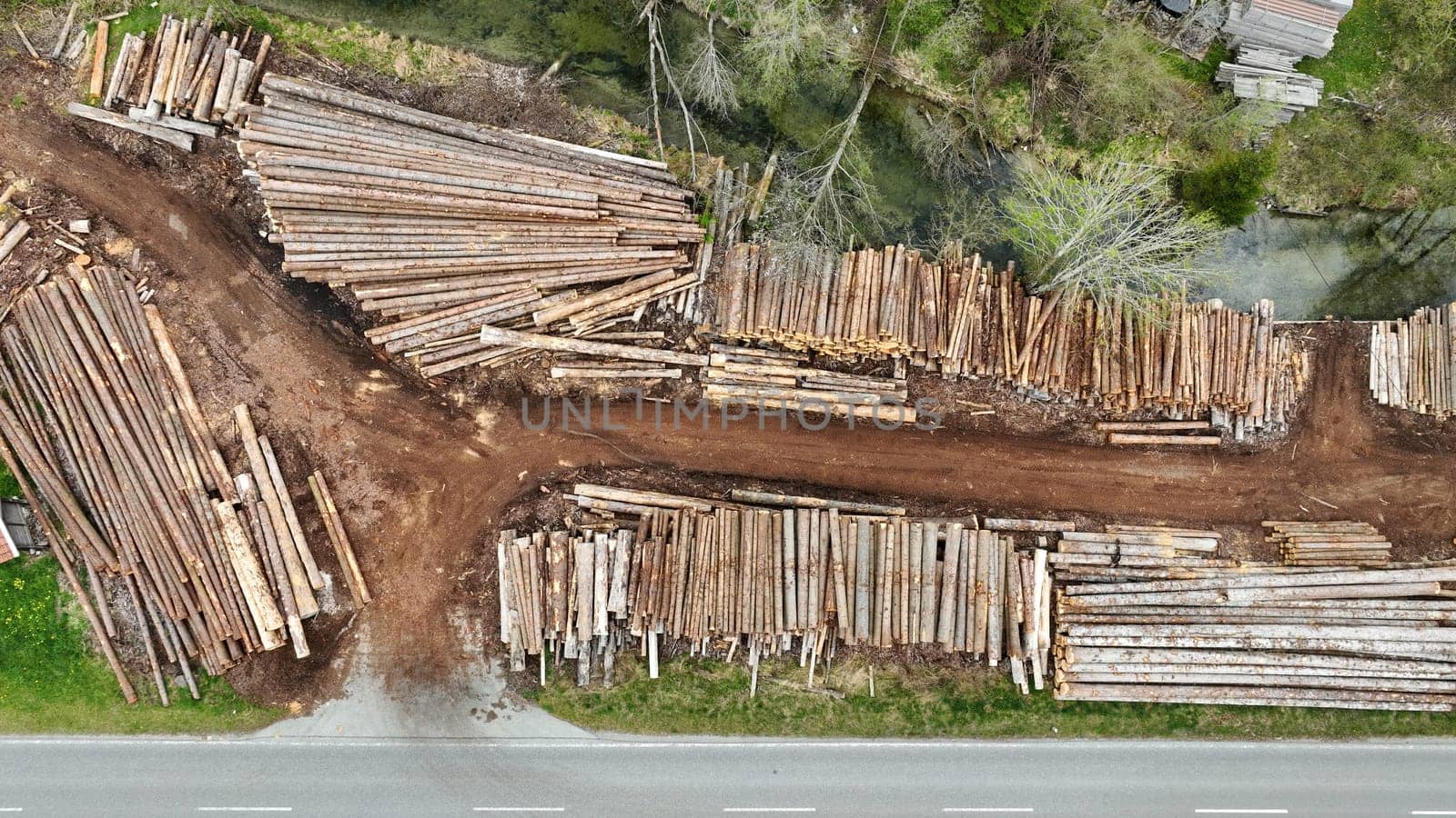 Drone shot of felled tree trunks for woodwork and firewood