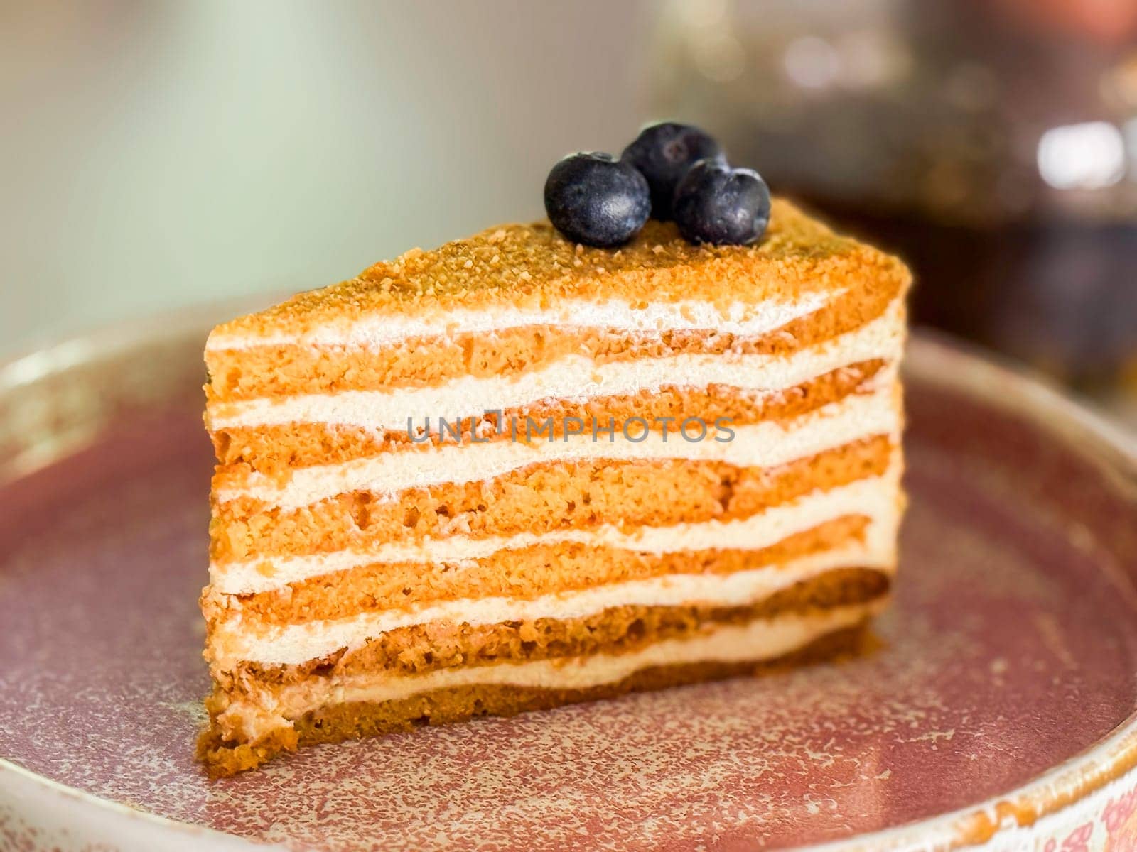 Closeup of layered honey cake with blueberries on ceramic plate. Dessert texture, taste sweet and bakery details.