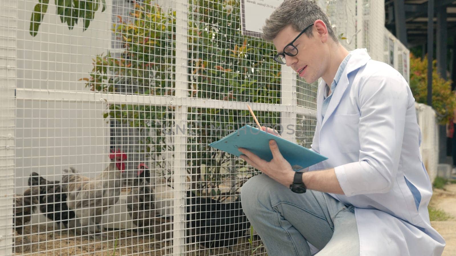 Happy veterinarian man chicking examining chicken with clipboard and take a note for health care, farmer checklist with hen in natural eco farm, Animal care and ecological farming concept
