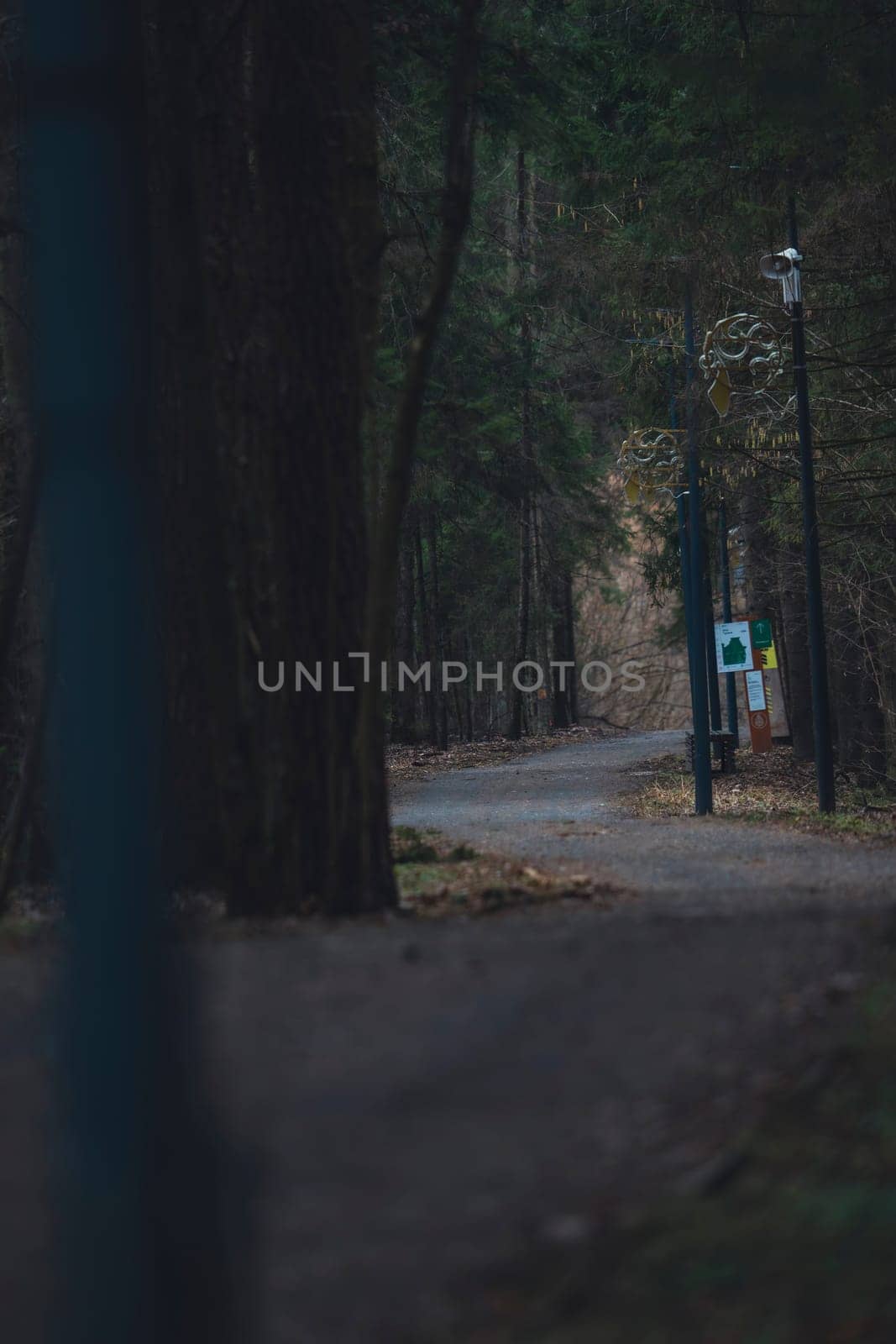 A winding gravel path runs through a dense forest with decorative street lamps and informational trail signs, captured in low light during early spring.
