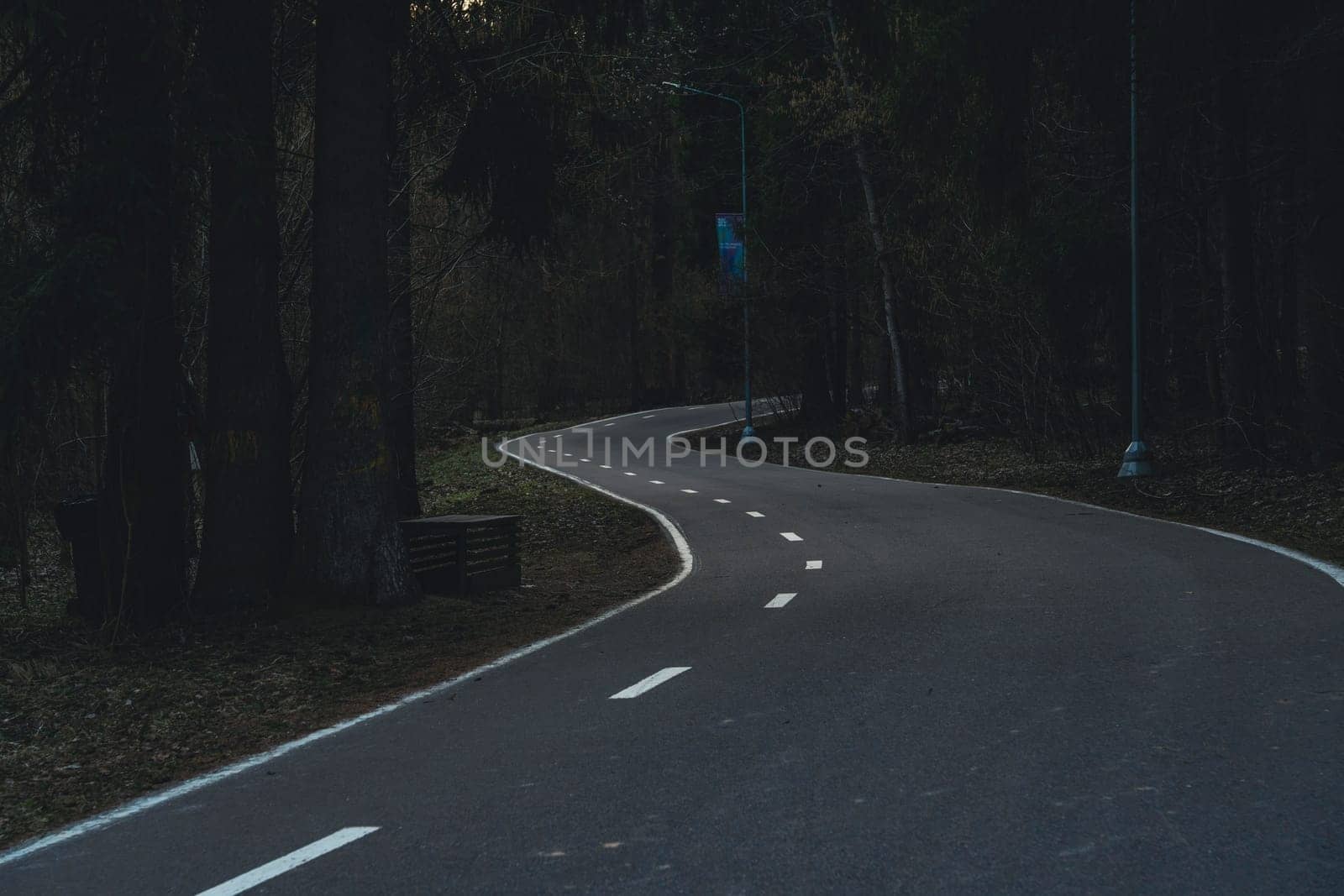An empty winding road with white markings runs through a dim forest, lined with tall trees and street lamps, captured in moody low light.