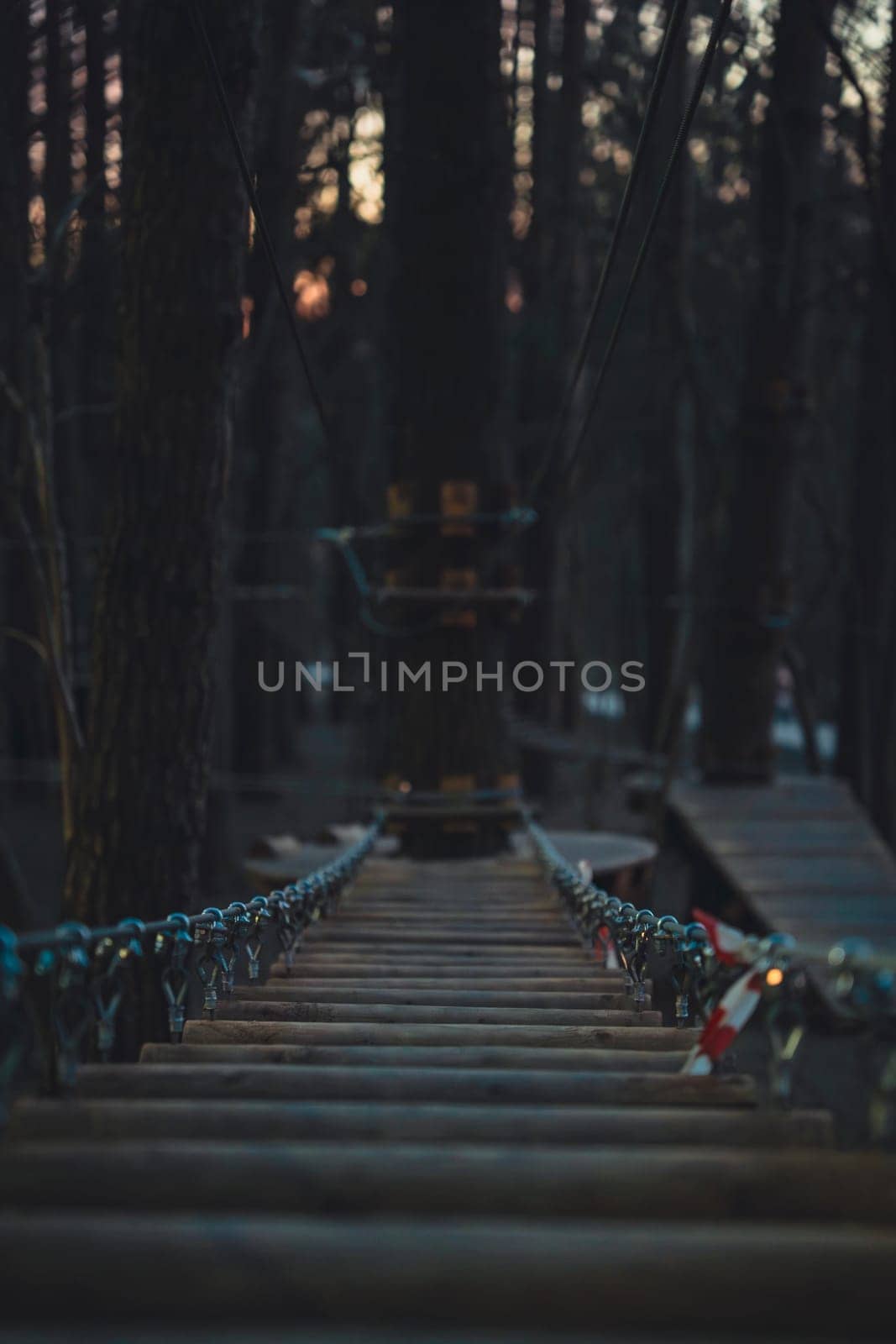 A close-up view of a wooden rope bridge leading to a tree platform in a forest adventure park, captured during the evening with soft, fading light.