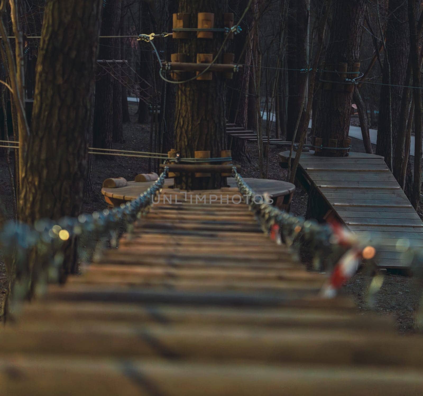 A close-up view of a suspended wooden rope bridge leading to a tree platform in a forest adventure park, captured during sunset in warm light.