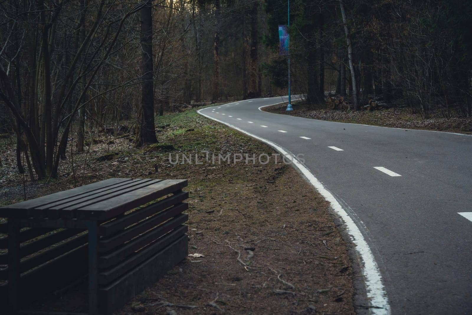 An empty curved asphalt road runs through a forest with a wooden bench and street lamp along the side, surrounded by bare trees in early spring.