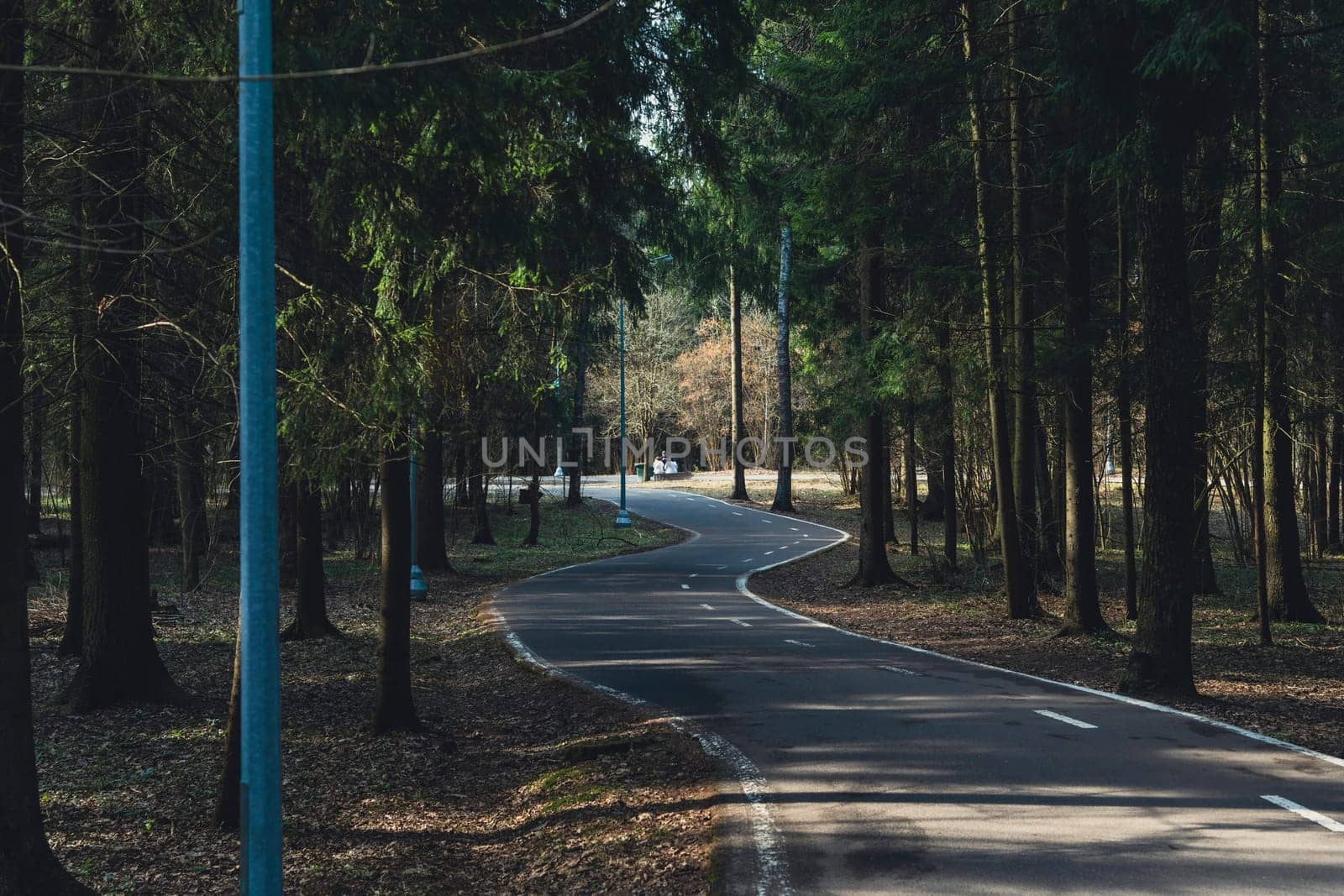 Curved paved road with lane markings surrounded by trees and lit by street lamps, with benches visible in the distance.