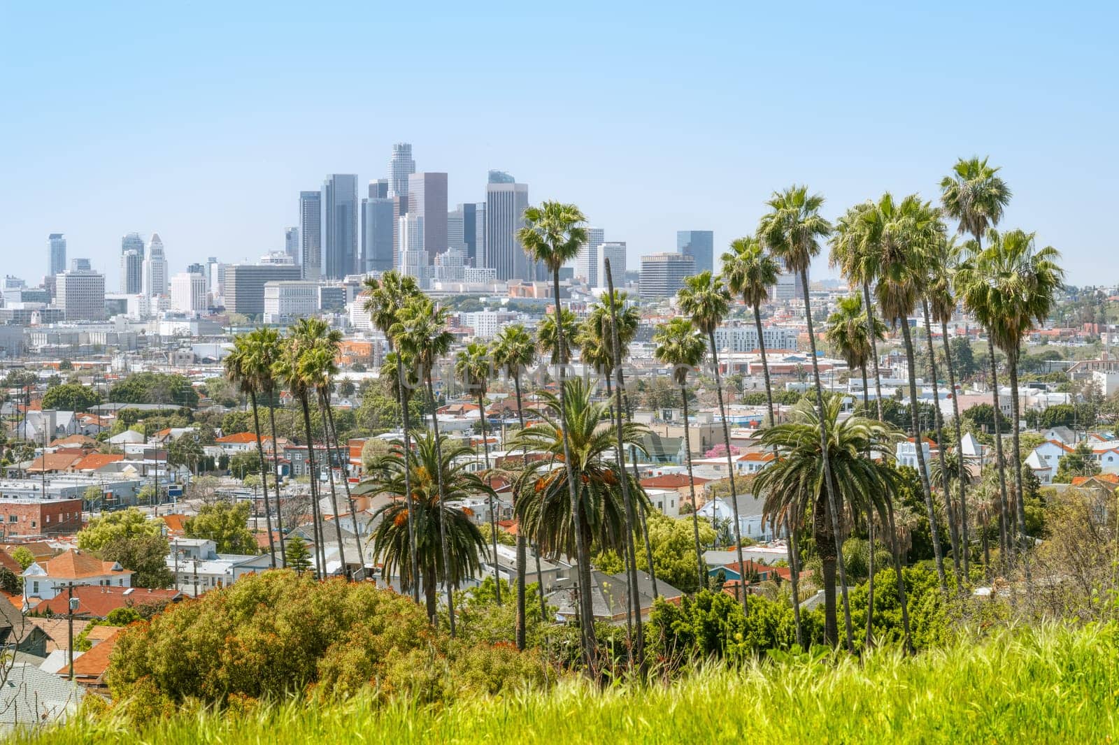 the skyline of los angeles with palm trees