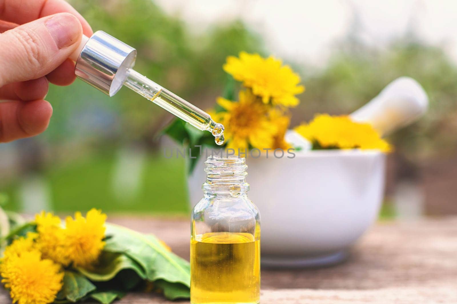 Dandelion extract and homeopathic supplements. Selective focus. nature.