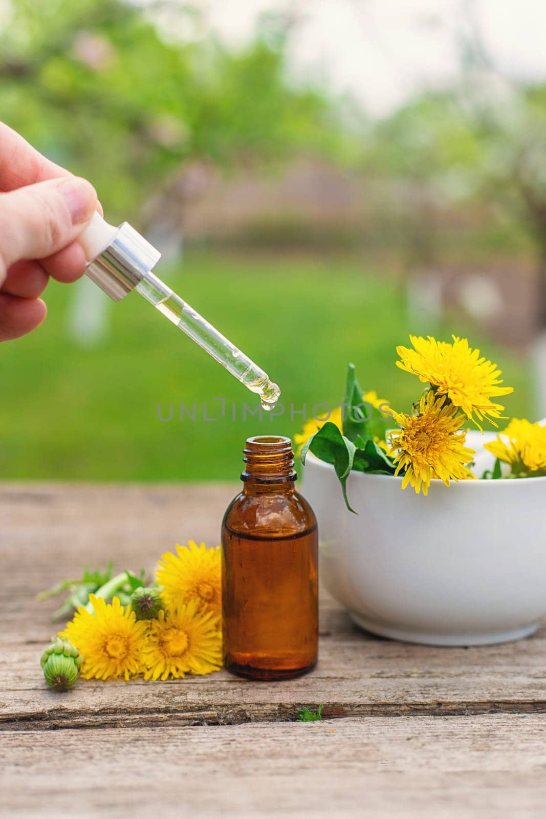 Dandelion extract and homeopathic supplements. Selective focus. nature.