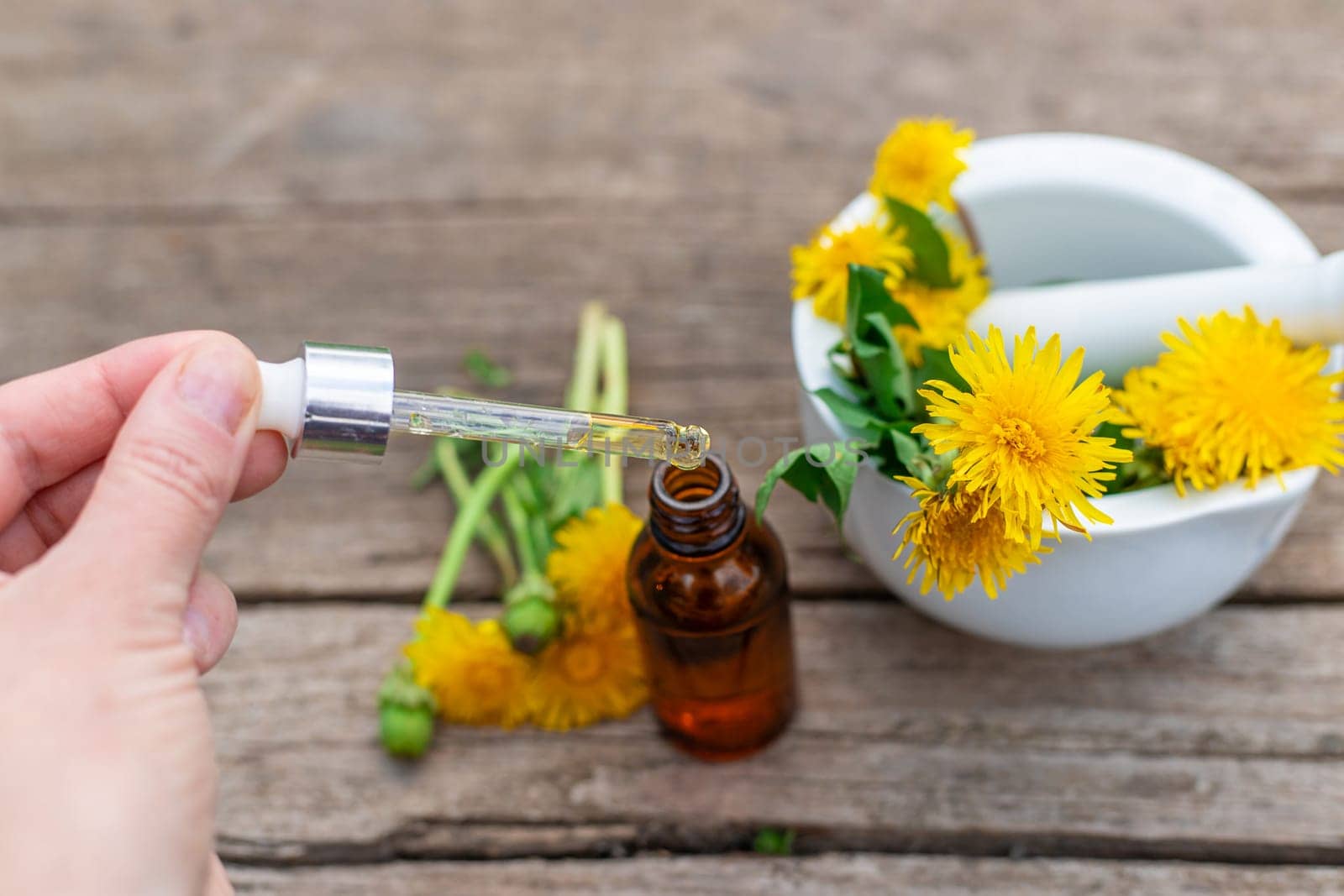 Dandelion extract and homeopathic supplements. Selective focus. nature.