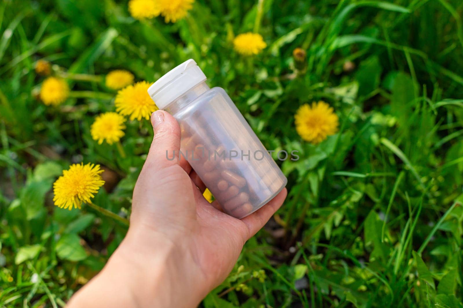 Dandelion extract and homeopathic supplements. Selective focus. nature.