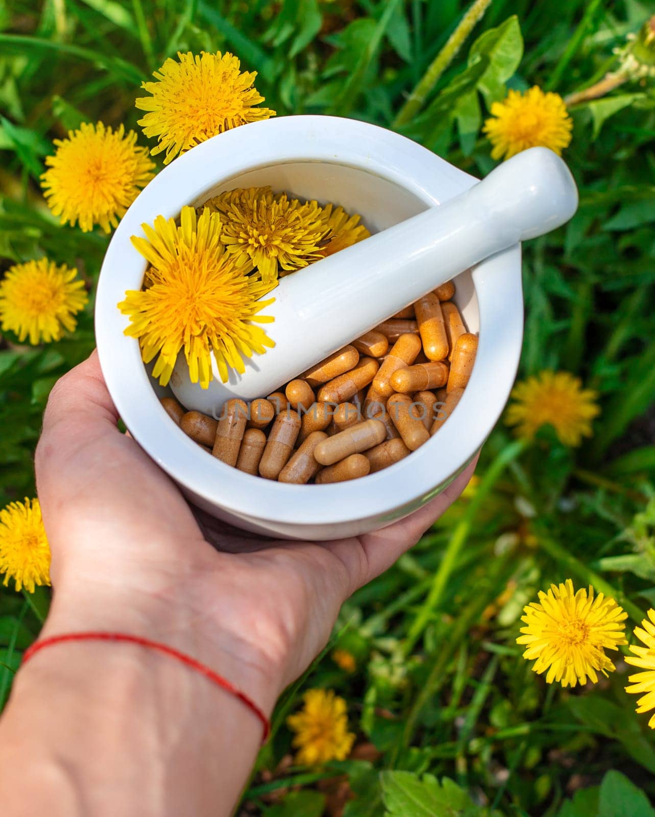 Dandelion extract and homeopathic supplements. Selective focus. nature.