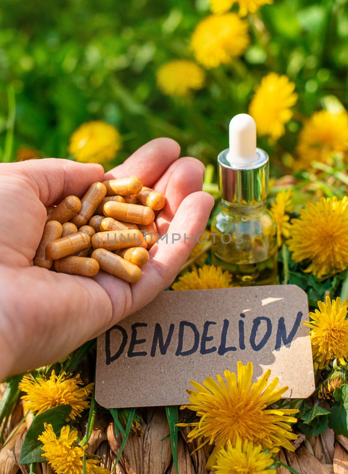Dandelion extract and homeopathic supplements. Selective focus. nature.