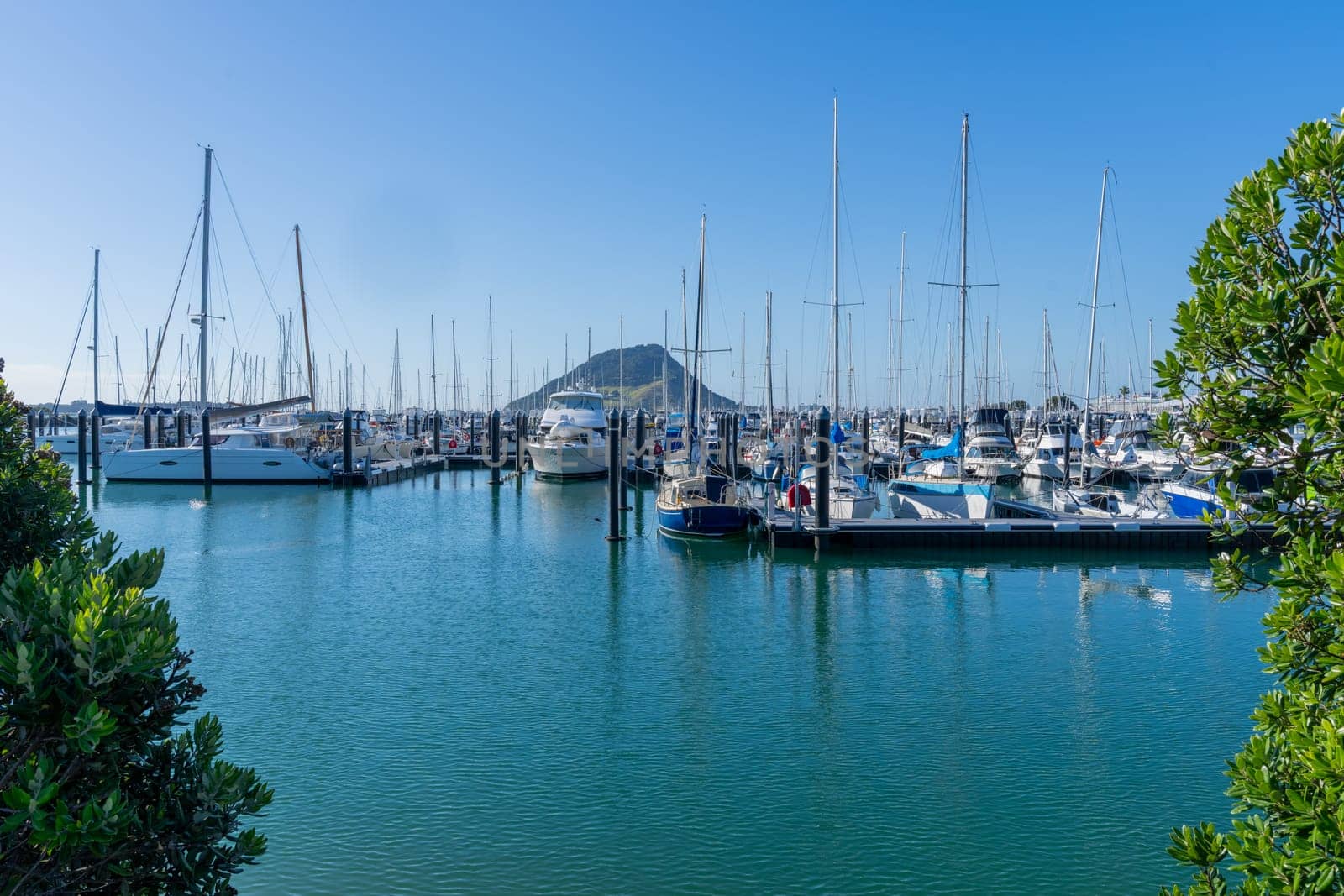 Tauranga Marina piers and boats with landmark Mount Maunganui in background under blue sky New Zealand.
