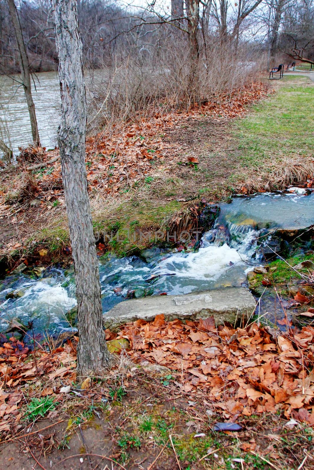 Views of Scioto Park in Late Winter, Dublin, Ohio