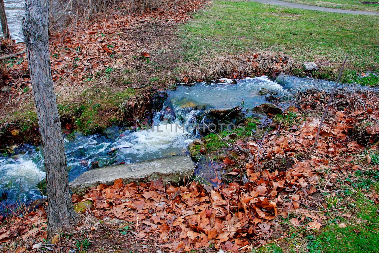 Views of Scioto Park in Late Winter, Dublin, Ohio