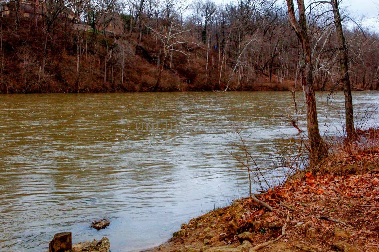 Views of Scioto Park in Late Winter, Dublin, Ohio