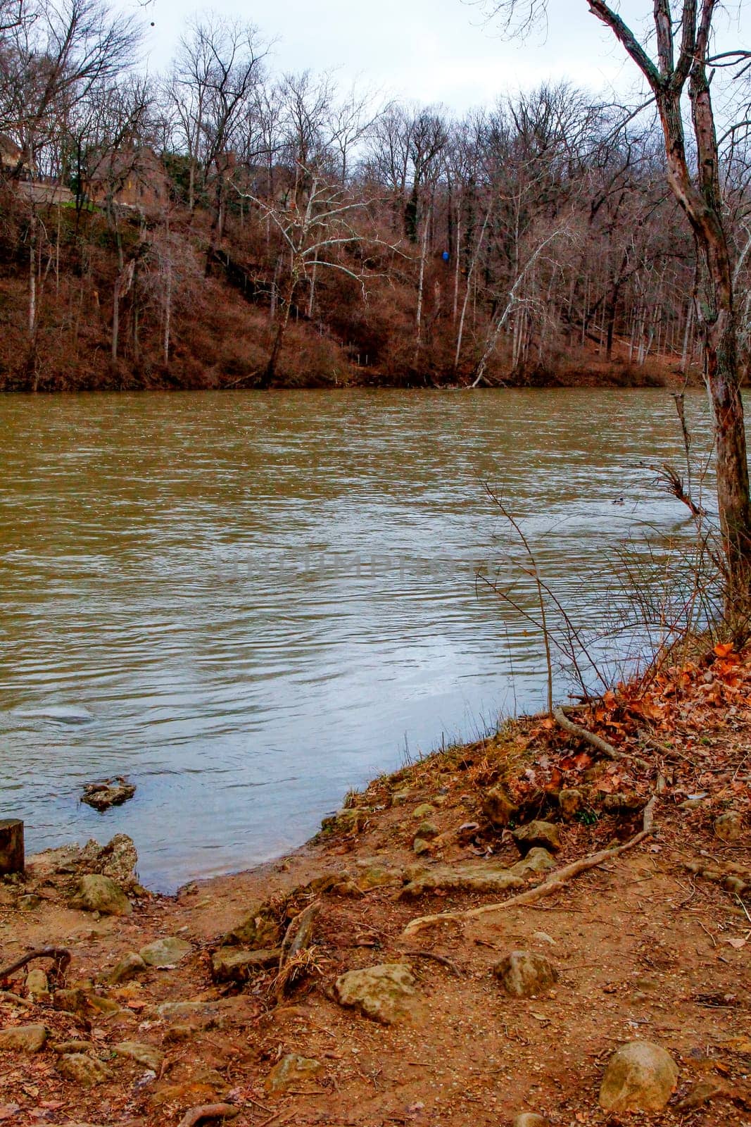 Views of Scioto Park in Late Winter, Dublin, Ohio