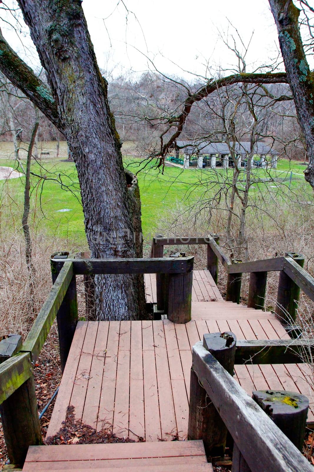 Stairs at Scioto Park in Late Winter, Dublin Ohio
