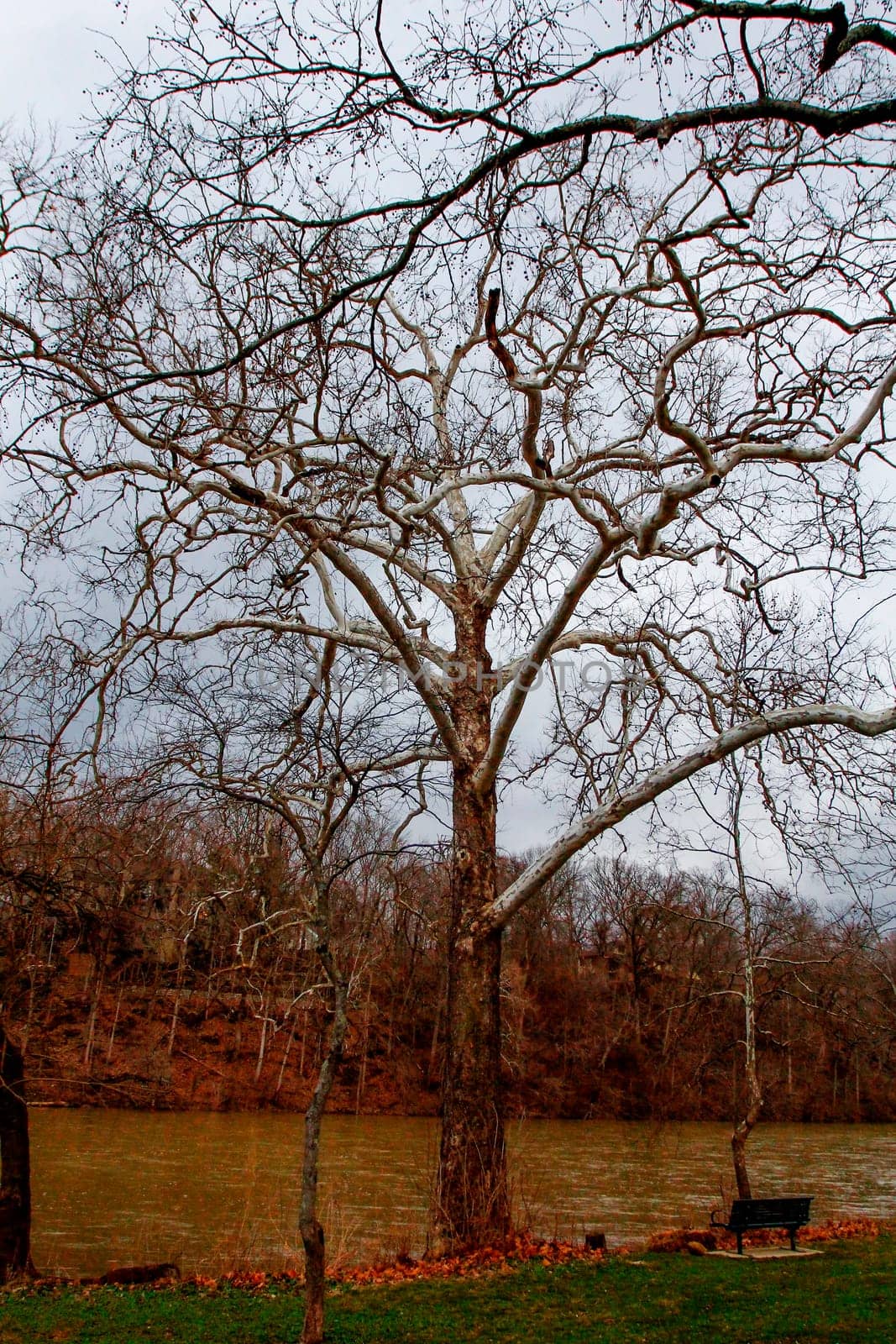 Views of Scioto Park in Late Winter, Dublin, Ohio