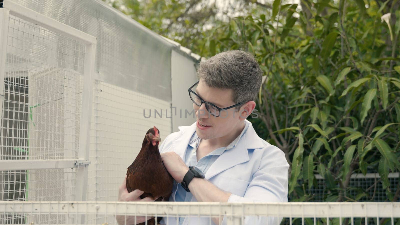 Happy veterinarian doctor man holding examining chicken for health care, farmer hold hen in natural eco farm, Animal care and ecological farming concept