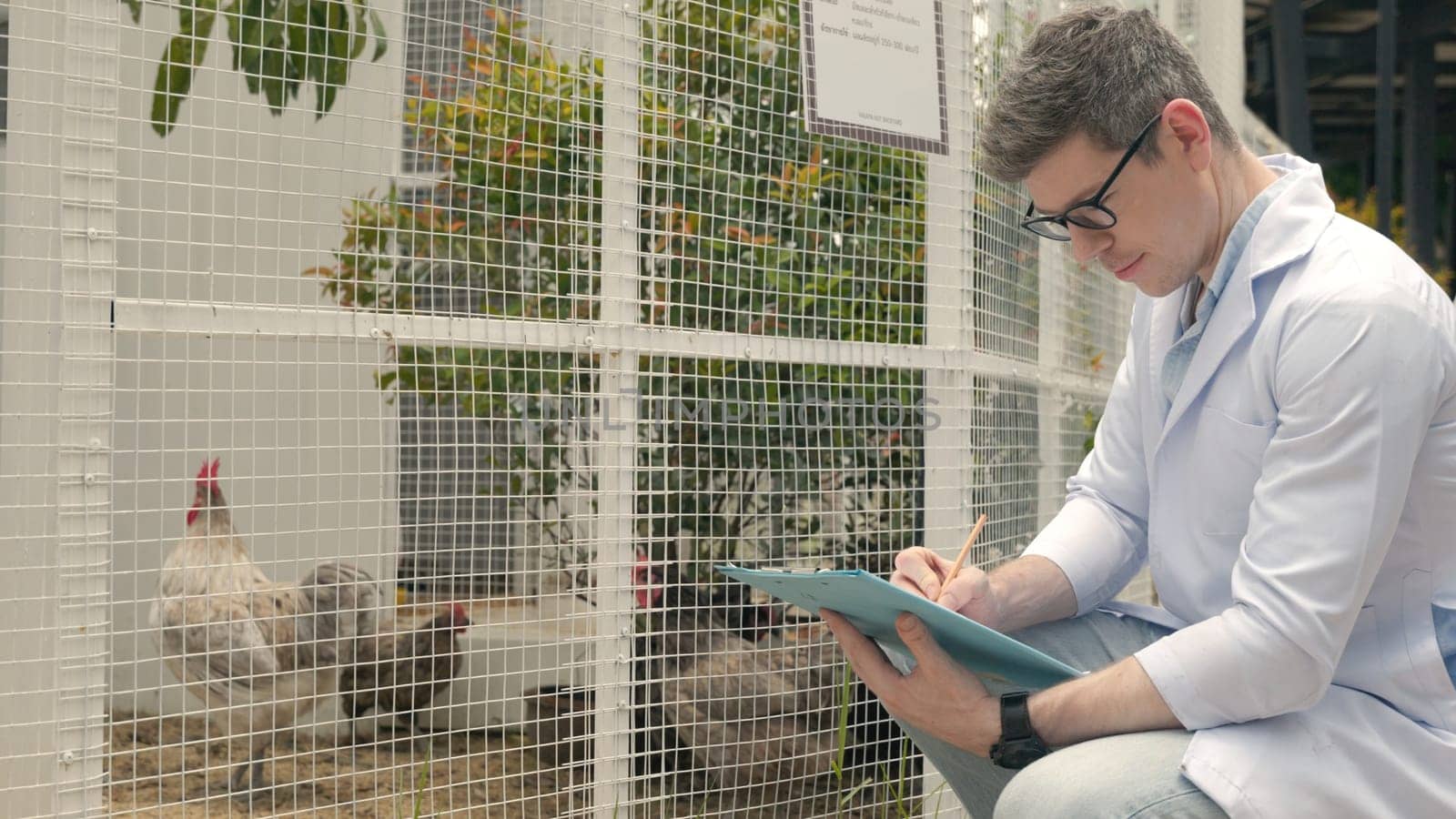 Happy veterinarian man chicking examining chicken with clipboard and take a note for health care, farmer checklist with hen in natural eco farm, Animal care and ecological farming concept