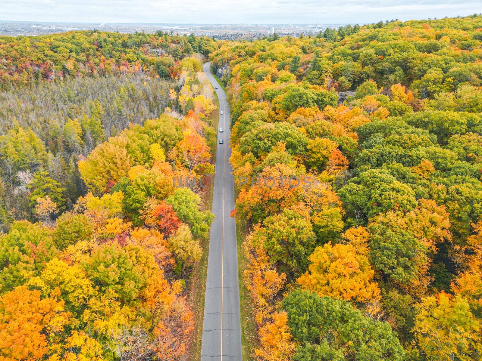 A picturesque road meanders its way through a forest filled with trees displaying vibrant fall colors, creating a stunning landscape perfect for nature lovers and outdoor enthusiasts.