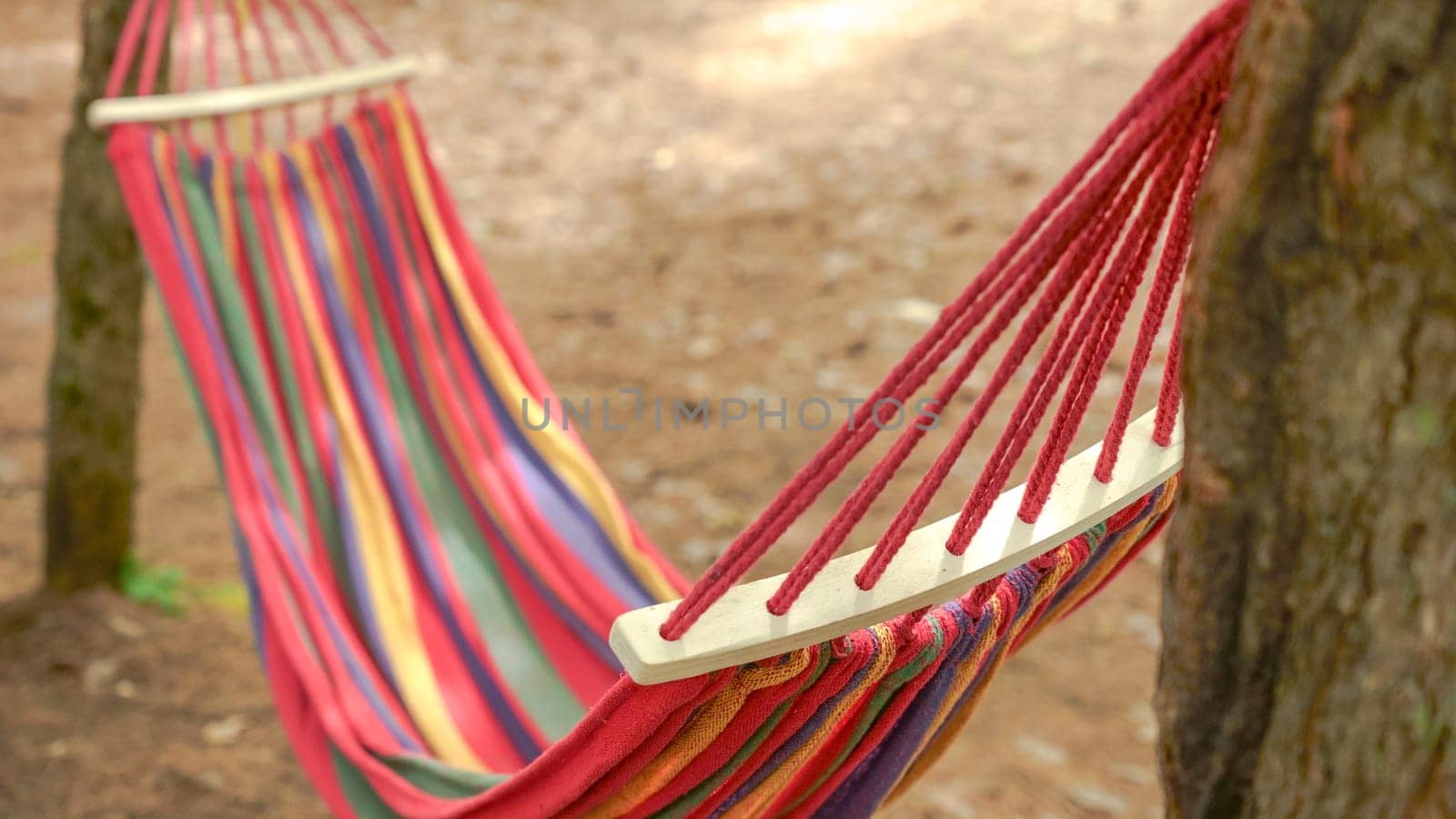 A vibrant, colorful striped hammock is gracefully hanging between two tall trees in a peaceful forest. The hammock remains empty, gently swaying back and forth in the soft breeze, inviting relaxation.