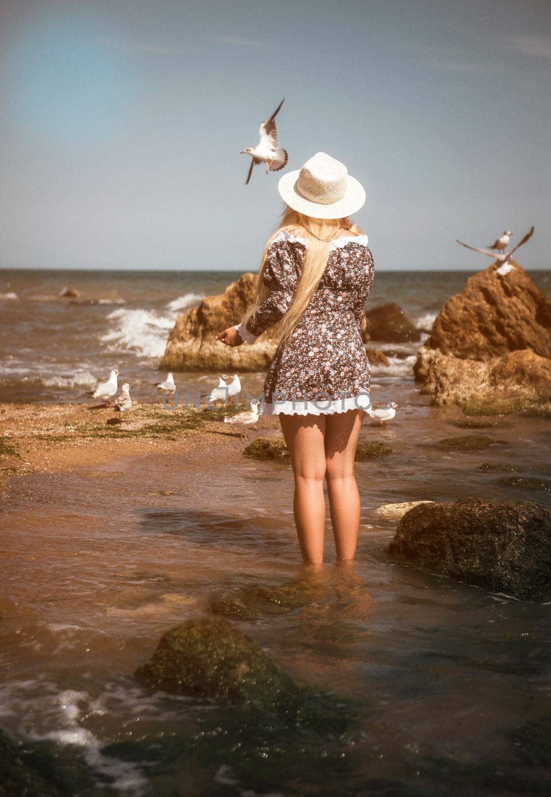 Blonde in a short summer dress and a light hat stands on the beach, with her back to the camera. The girl stands among the stones and waves of the sea, feeding seagulls. The concept of rest and summer clothes