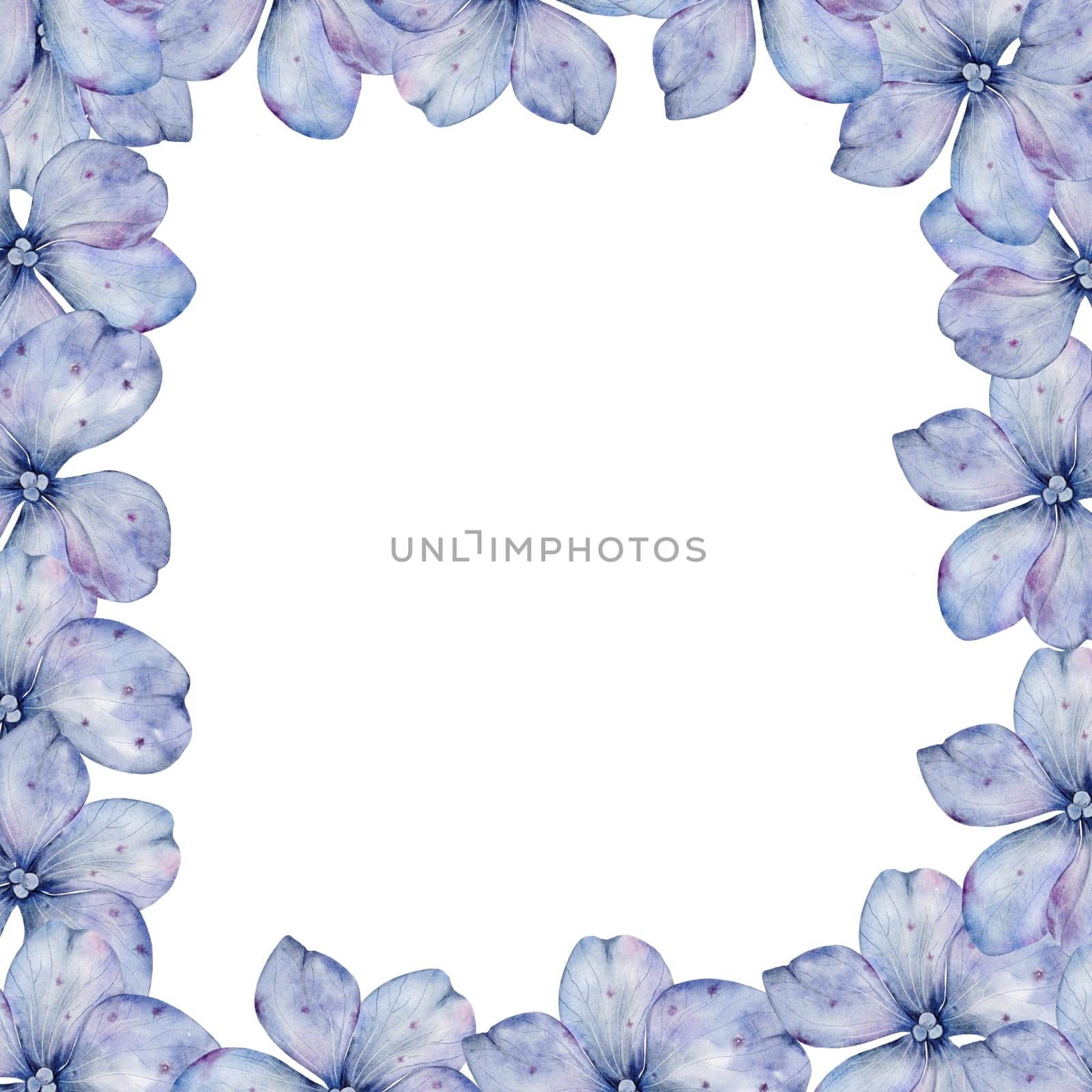 Blue hydrangea flowers watercolor frame. Hand drawn delicate flower on isolated white background. Botanical illustration. Ideal for wedding and birthday cards