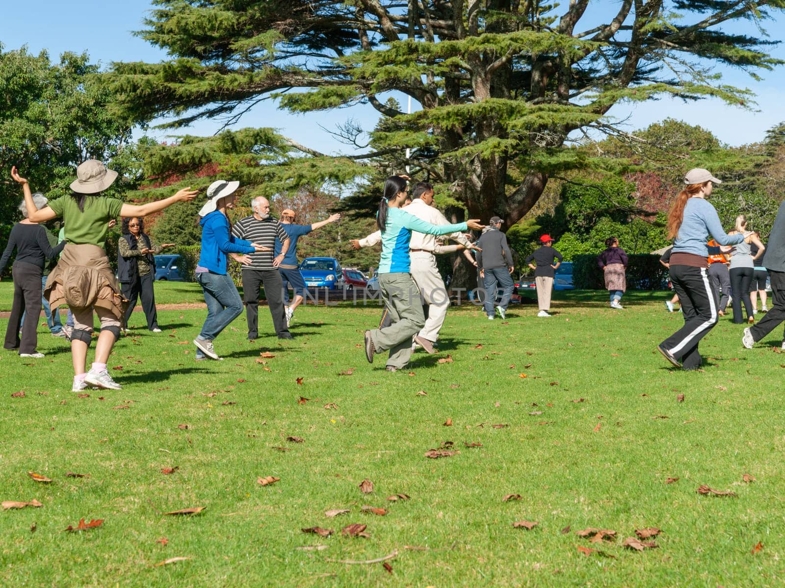 Auckland New Zealand - May 12 2012; Outdoor activity on sunny morning  seniors partaking in tai chi in city park.