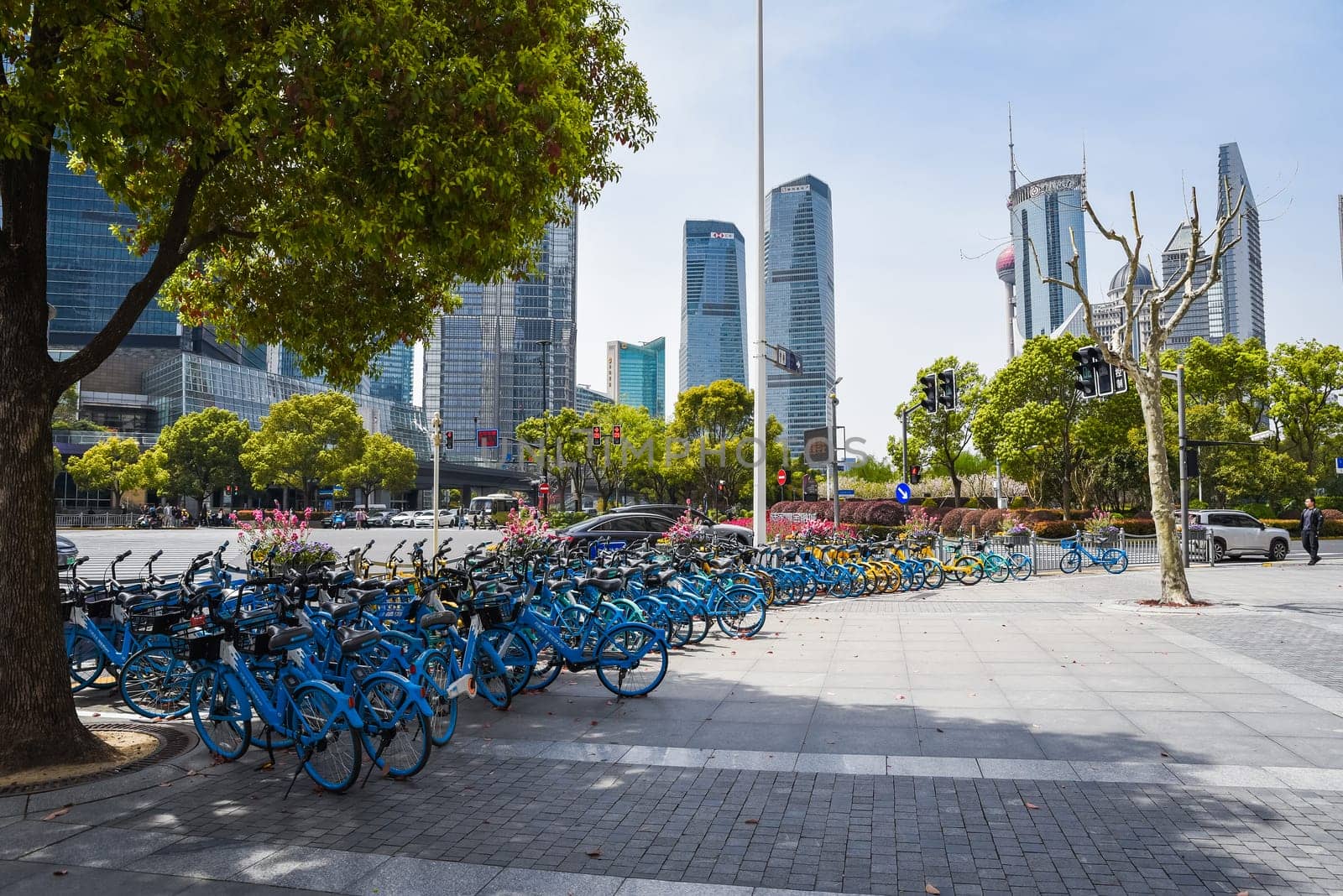 Shanghai, China - 1 April 2025: Sunny day in Pudong with colorful rental bikes parked near trees against futuristic skyline featuring Oriental Pearl Tower