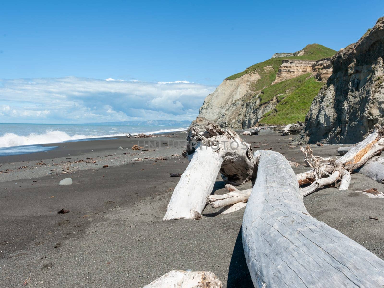 Driftwood and steep cliff with black sand on New Zealand east coast.