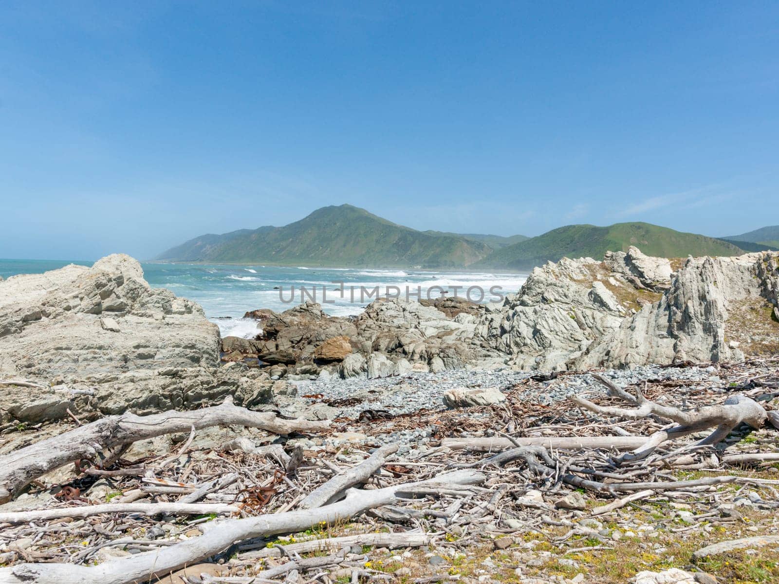 Rocky Wairarapa coast al edge with land.