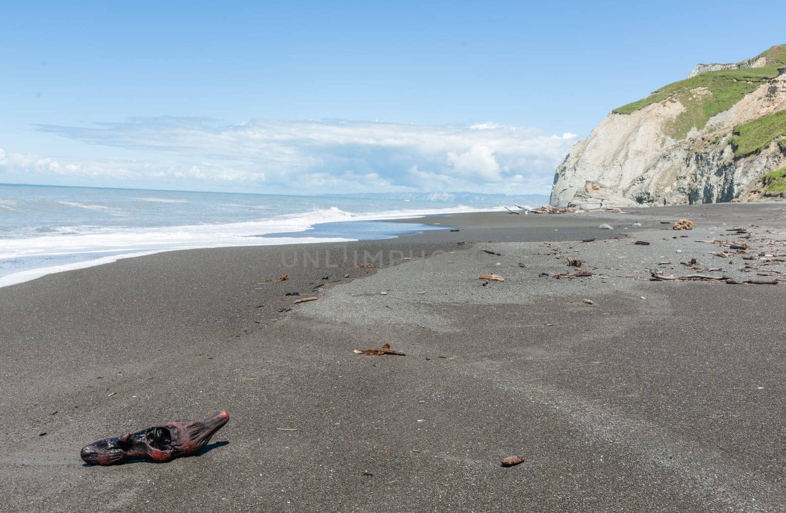 Waves crash onto South Pacific beach lined with cliffs bin New Zealand leading white foam wash as they flow back.