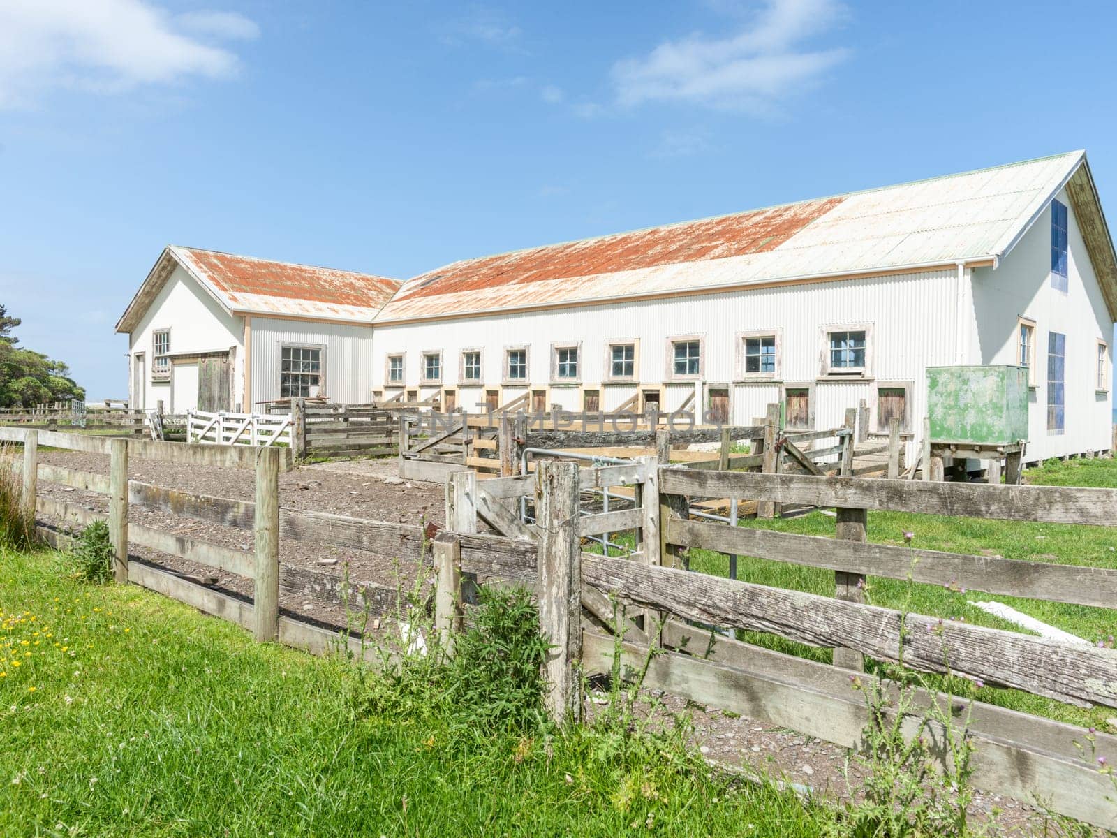 typical old New Zealand rural shearing shed and yards