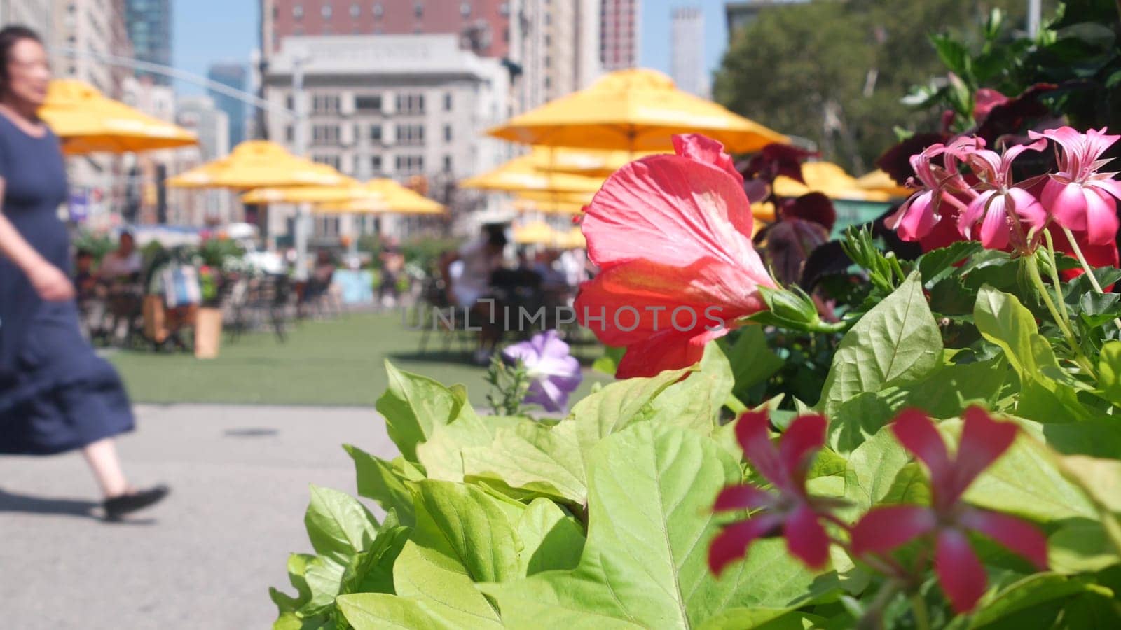 New York City, United States - 6 Sept 2023: Manhattan Midtown Broadway, 23 street, 5 avenue crossroad. Worth Square by Madison Park, Flatiron Building, USA. People on chairs and tables. Summer flowers
