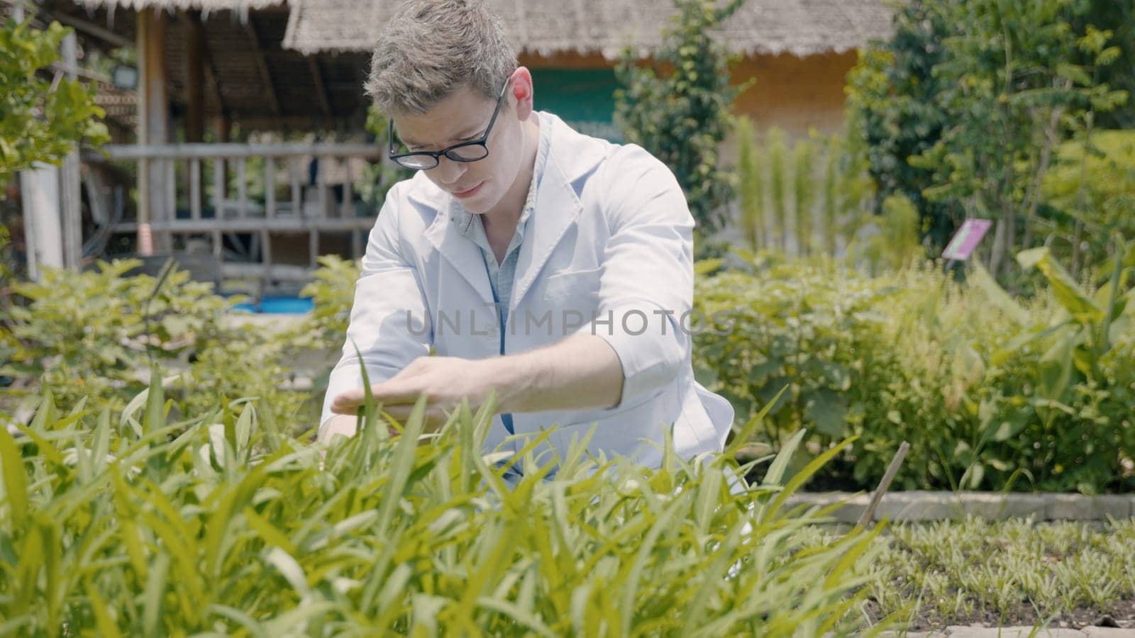 Biotechnology man engineer examining plant leaf for disease, Professional researcher agriculture scientist working to organic vegetable plant in greenhouse, analyze research quality