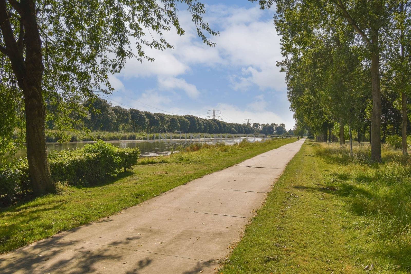 A tranquil pathway lined with trees, leading towards a river under a bright, partly cloudy sky. Ideal for walking and enjoying nature's beauty.