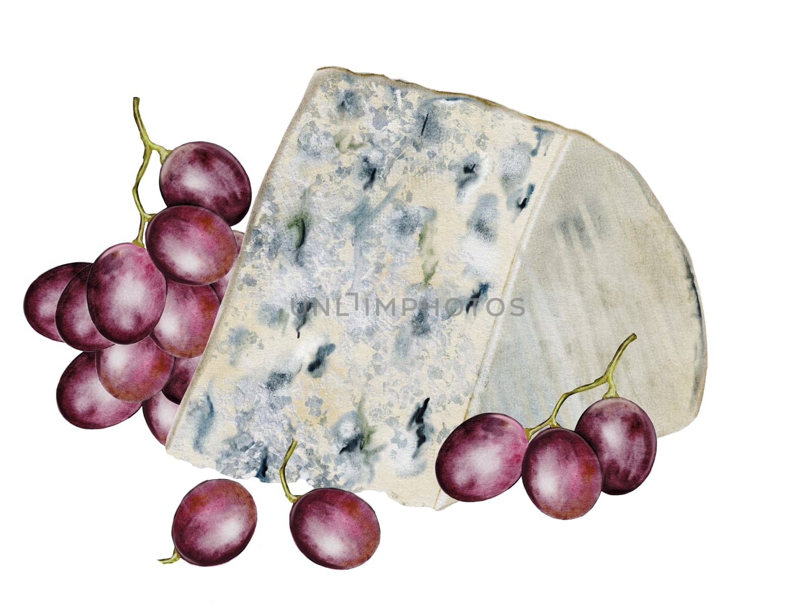Dorblu or Roquefort cheese watercolor. Hand drawn piece of blue cheese with blue noble mold and with grapes. Clip art food realism. Ideal for farm organic dairy product packaging and restaurant menu design. High quality photo