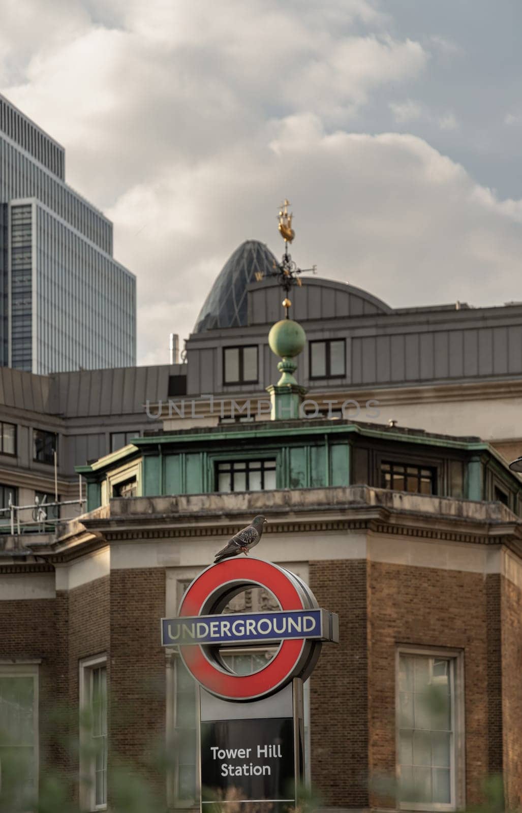 London, UK - Apr 27, 2025 - View of A pigeon perched on Underground sign at Tower hill station with Trinity House, Skyscrapers and sky in the background. use it as your Wallpaper, Poster and Space for text, Selective focus.