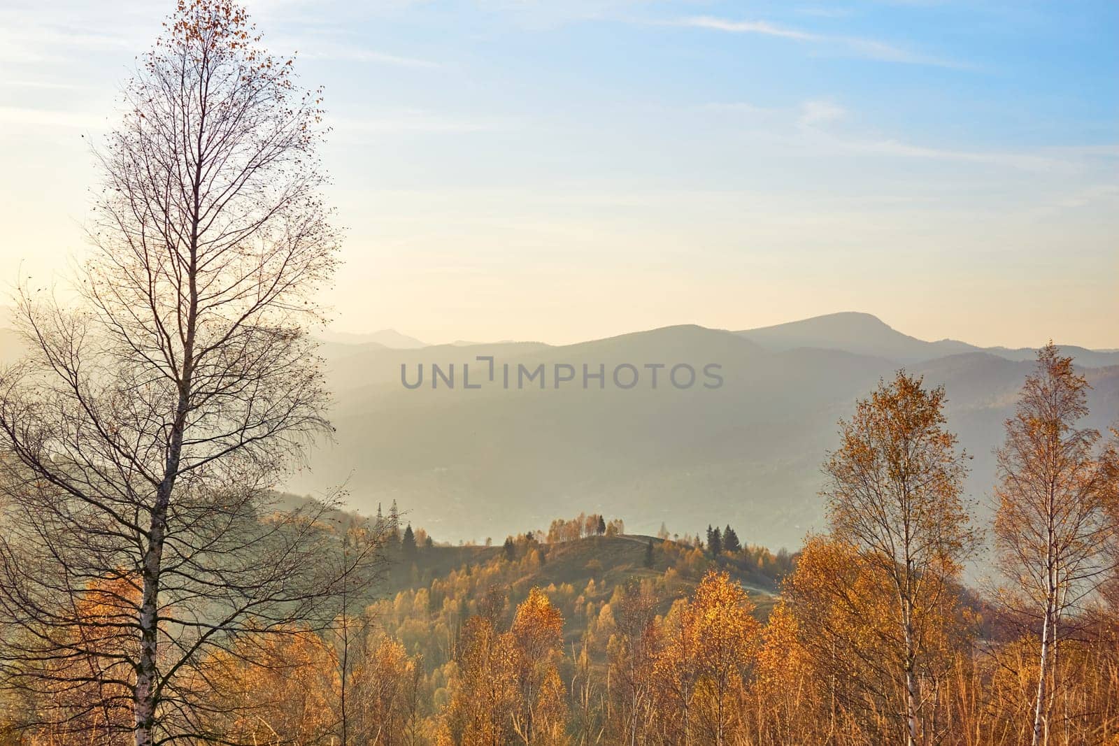 Autumn is the most colorful time of the year from all seasons, when nature changes its usual appearance to golden colors
