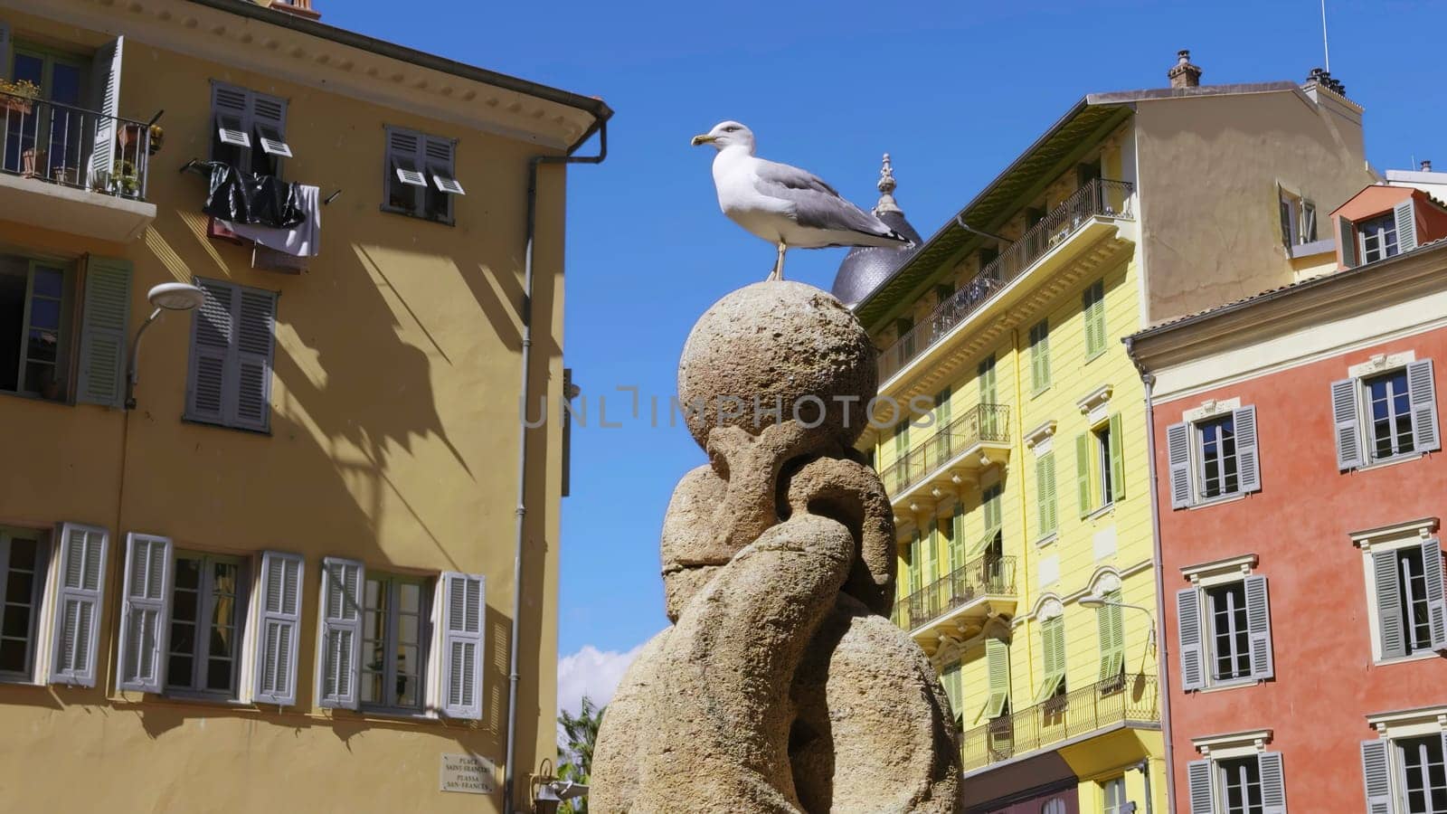 White seagull standing on a stone sphere of a fountain in a square of nice, france