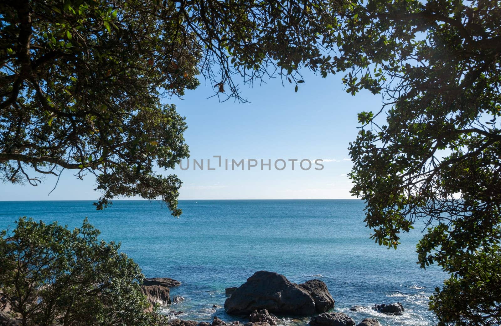 Ocean view to horizon from base track framed by pohutukawa foliage on Mount Maunganui New Zealand.