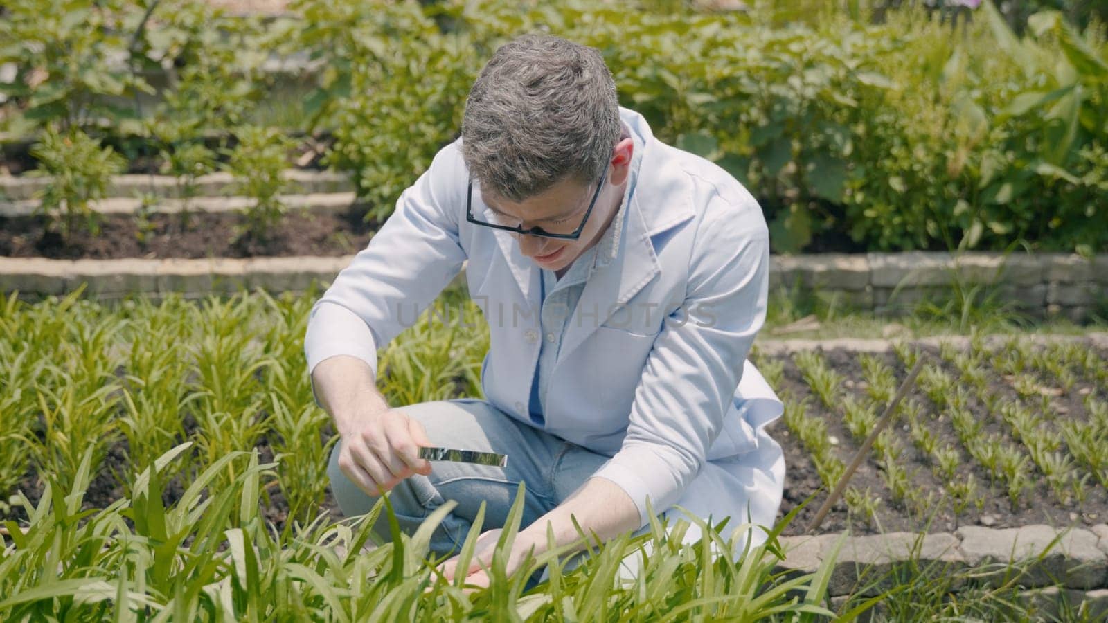 Biotechnology man engineer examining plant leaf for disease, Professional researcher agriculture scientist working to organic vegetable plant in greenhouse, analyze research quality
